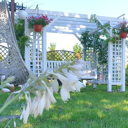 Confero Bed and Breakfast Νίσα Εξωτερικό φωτογραφία
