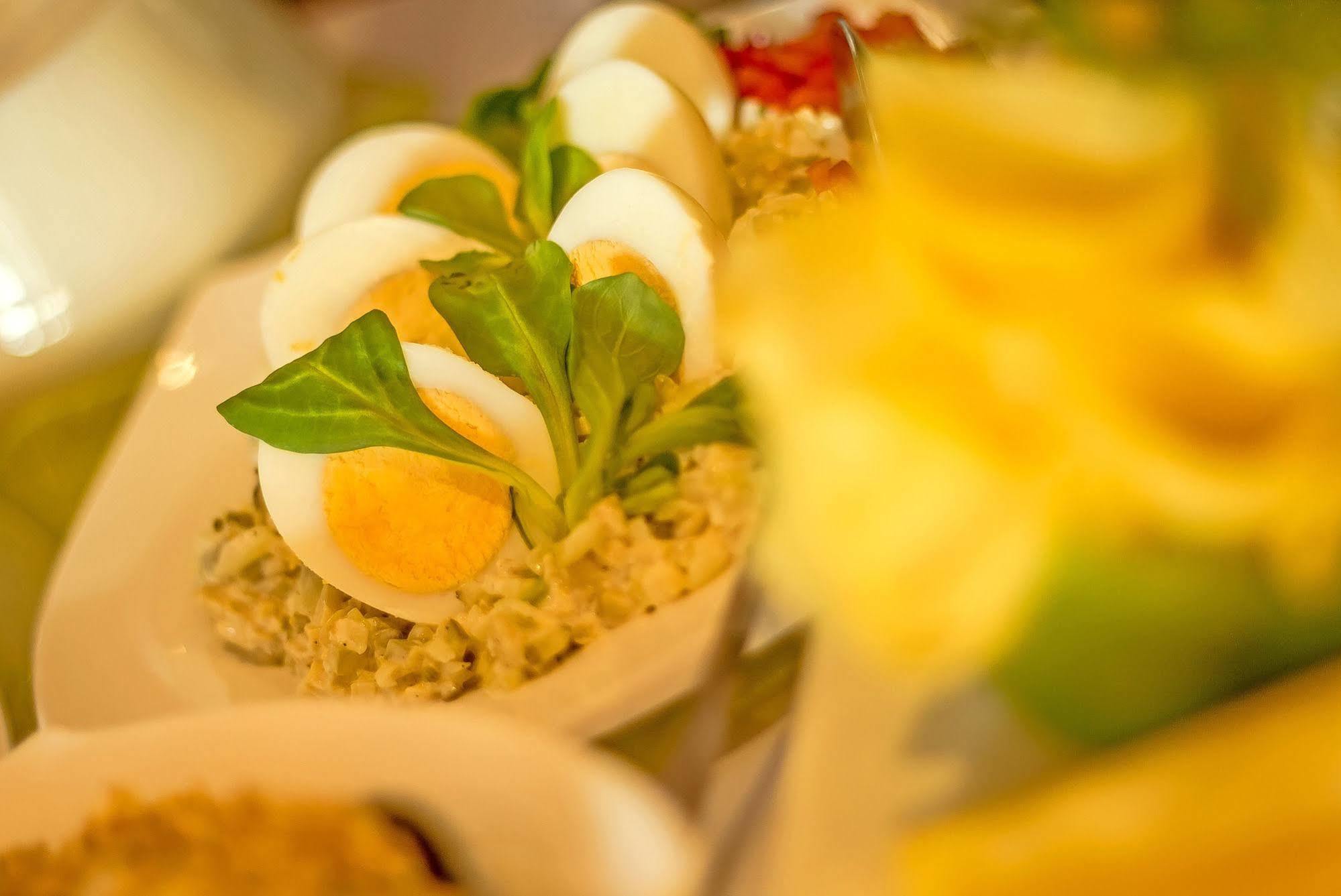 Confero Bed and Breakfast Νίσα Εξωτερικό φωτογραφία
